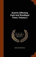 bokomslag Insects Affecting Park And Woodland Trees, Volume 2