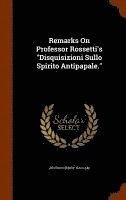 bokomslag Remarks On Professor Rossetti's &quot;Disquisizioni Sullo Spirito Antipapale.&quot;