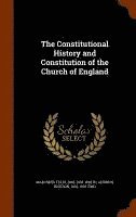 bokomslag Constitutional History and Constitution of the Church of England