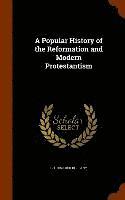 bokomslag A Popular History of the Reformation and Modern Protestantism