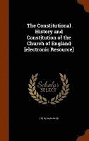 bokomslag The Constitutional History and Constitution of the Church of England [electronic Resource]