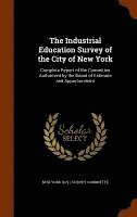 bokomslag The Industrial Education Survey of the City of New York