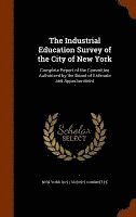 The Industrial Education Survey of the City of New York 1