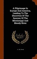 bokomslag Pilgrimage In Europe And America, Leading To The Discovery Of The Sources Of The Mississippi And Bloody River