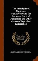 bokomslag Principles of Equity as Administered in the Supreme Court of Judicature and Other Courts of Equitable Jurisdiction