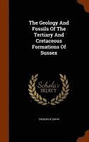 bokomslag Geology And Fossils Of The Tertiary And Cretaceous Formations Of Sussex