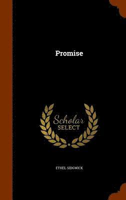 bokomslag Promise