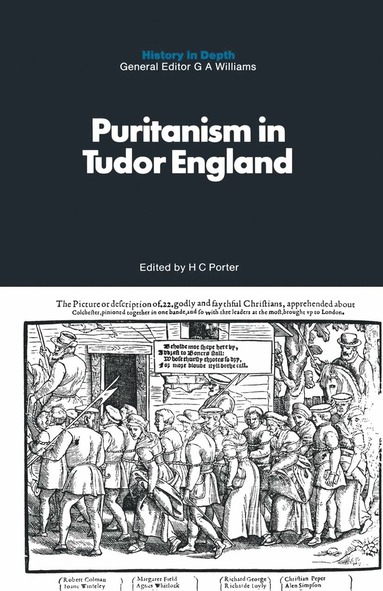 bokomslag Puritanism in Tudor England