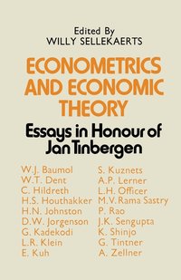 bokomslag Econometrics and Economic Theory