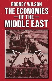 bokomslag The Economies of the Middle East