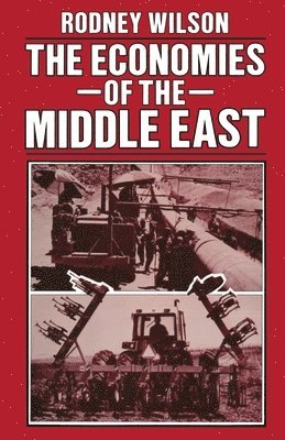Rodney Wilson - Economies of the Middle East, Häftad