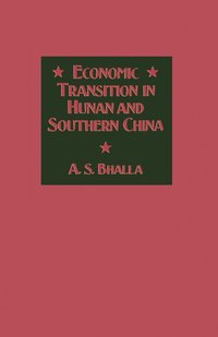 bokomslag Economic Transition in Hunan and Southern China