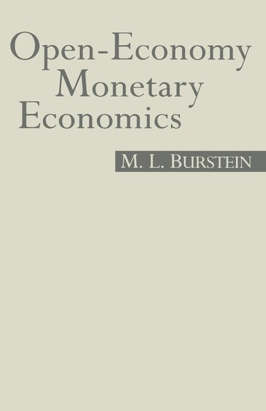 bokomslag Open-Economy Monetary Economics