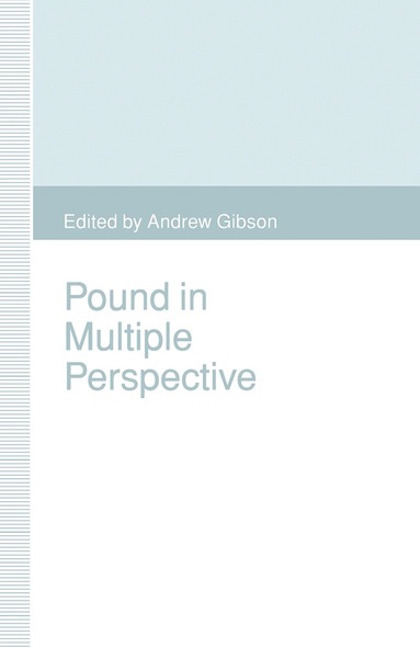 Andrew Gibson - Pound in Multiple Perspective, Häftad