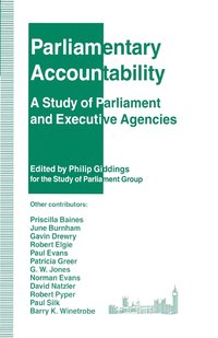 bokomslag Parliamentary Accountability