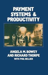 bokomslag Payment Systems and Productivity