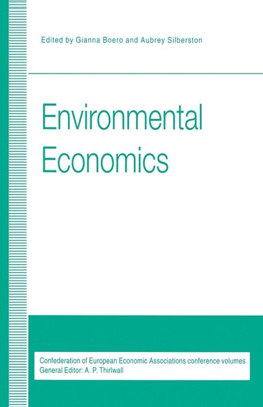 bokomslag Environmental Economics