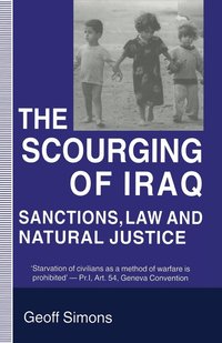 bokomslag The Scourging of Iraq