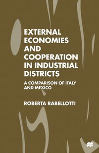 bokomslag External Economies and Cooperation in Industrial Districts