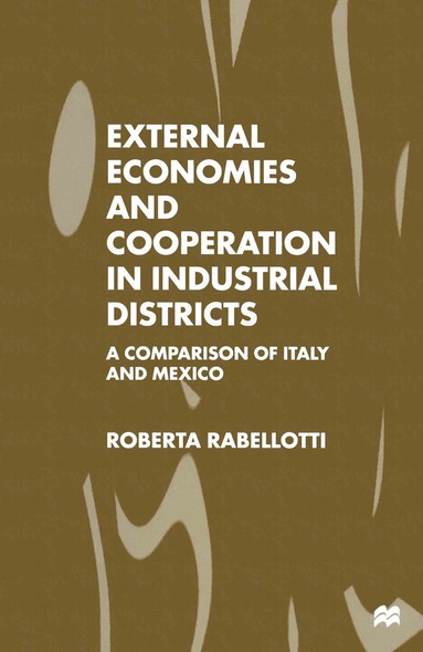bokomslag External Economies and Cooperation in Industrial Districts