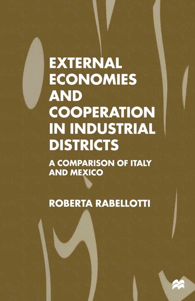 bokomslag External Economies and Cooperation in Industrial Districts