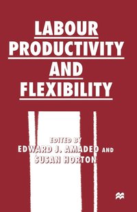 bokomslag Labour Productivity and Flexibility