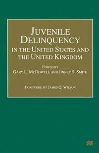 bokomslag Juvenile Delinquency in the United States and the United Kingdom