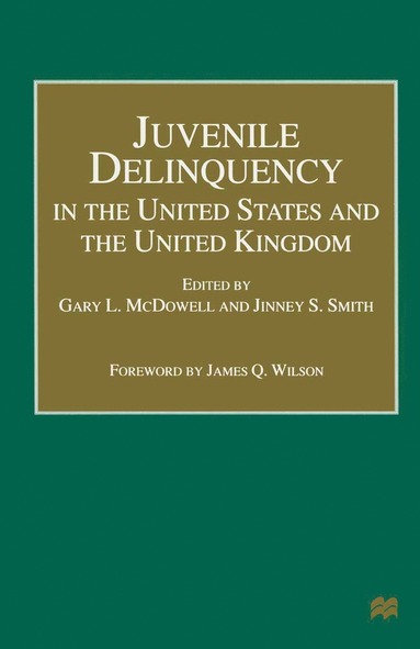 bokomslag Juvenile Delinquency in the United States and the United Kingdom