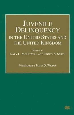 Gary L. McDowell, Jinney Smith, Gary L McDowell - Juvenile Delinquency in the United States and the United Kingdom, Häftad