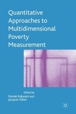 bokomslag Quantitative Approaches to Multidimensional Poverty Measurement