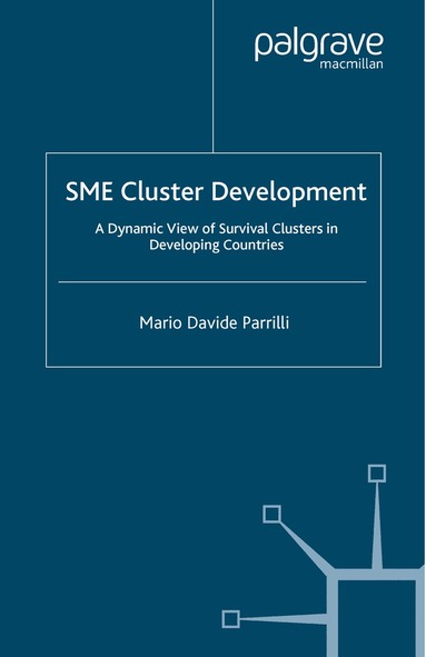 M. Parrilli - SME Cluster Development, Häftad