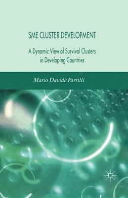 SME Cluster Development 1