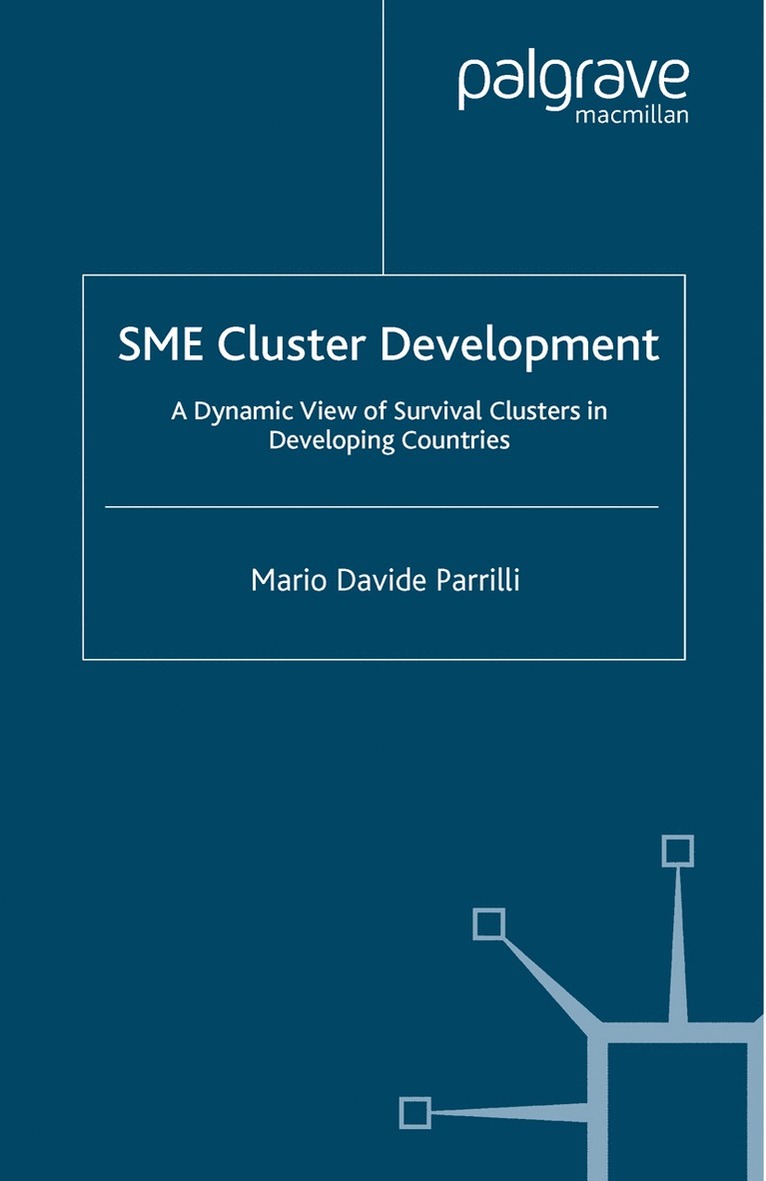 M. Parrilli - SME Cluster Development, Häftad