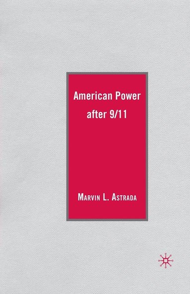 bokomslag American Power after 9/11