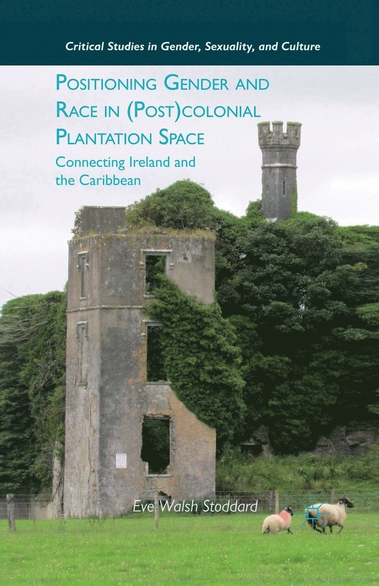 E. Stoddard - Positioning Gender and Race in (Post)colonial Plantation Space, Häftad