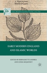 bokomslag Early Modern England and Islamic Worlds