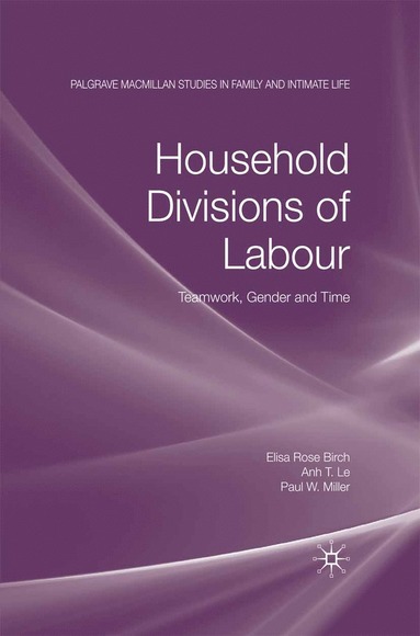 bokomslag Household Divisions of Labour