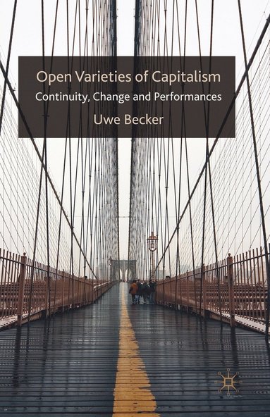bokomslag Open Varieties of Capitalism