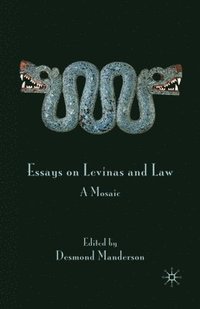 bokomslag Essays on Levinas and Law