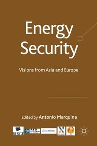bokomslag Energy Security