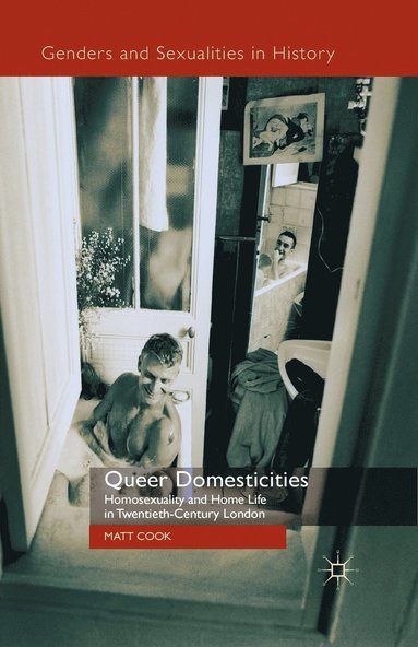 bokomslag Queer Domesticities