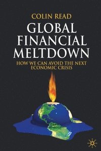 bokomslag Global Financial Meltdown