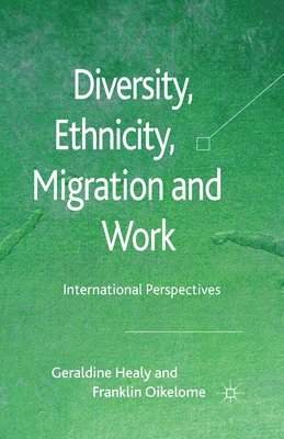 bokomslag Diversity, Ethnicity, Migration and Work