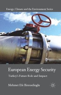 bokomslag European Energy Security