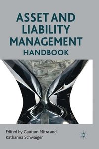 bokomslag Asset and Liability Management Handbook