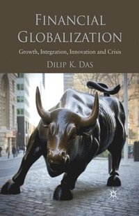 bokomslag Financial Globalization