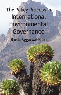 bokomslag The Policy Process in International Environmental Governance