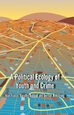 bokomslag A Political Ecology of Youth and Crime