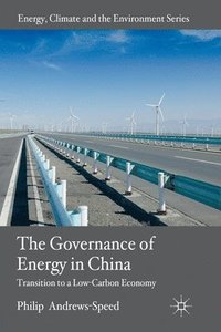 bokomslag The Governance of Energy in China