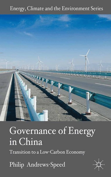 bokomslag Governance of Energy in China